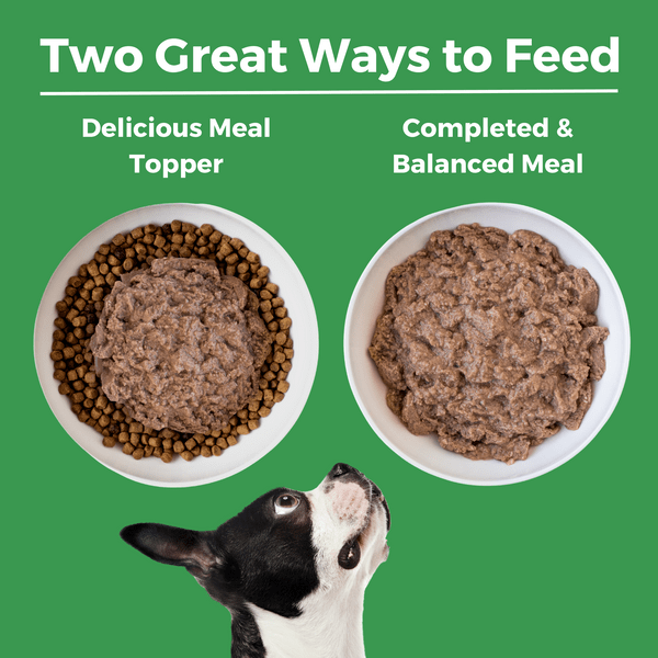 KOHA Turkey Entrée Canned Dog Food for Sensitive Stomachs