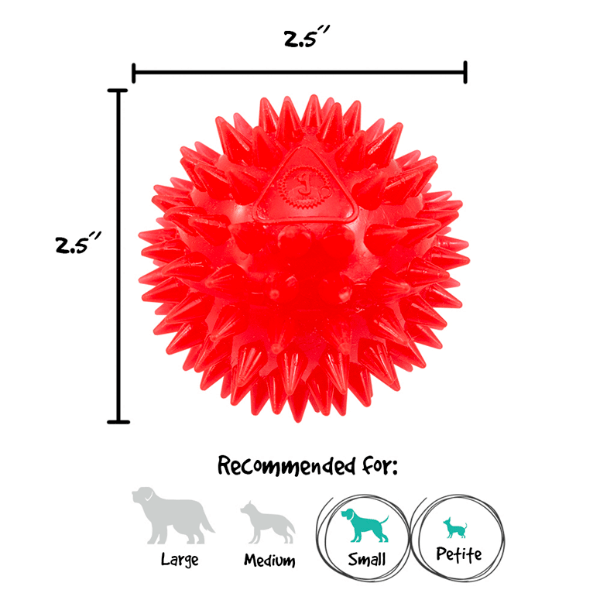 Gnawsome Small Interactive Squeaking and Flashing Light Ball for Canine Play