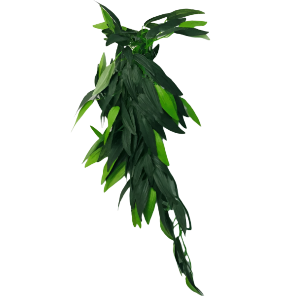 Repti Gear 40cm Silk Reptile Vine Decorations for Terrariums - Various Styles Offered