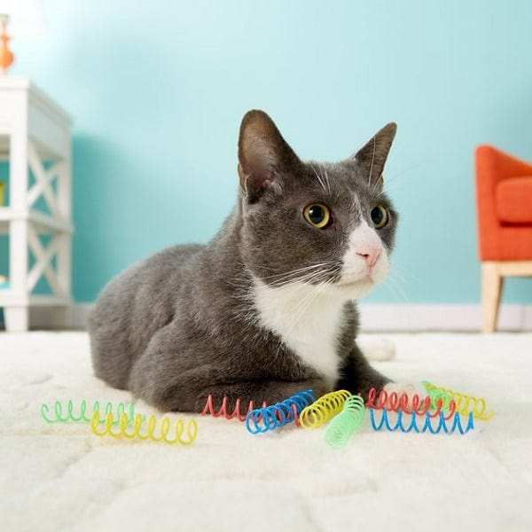 Colorful Spotty Springs Cat Toy - Thin and Bouncy for Endless Feline Fun