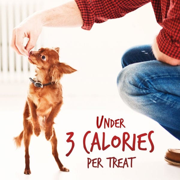 Fruitables Low - Calorie Mini Apple Bacon Flavor Dog Training Treats