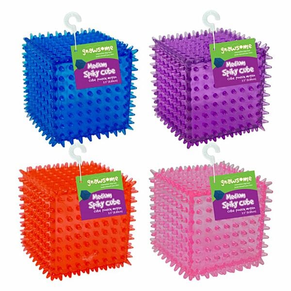 Gnawsome Interactive Spiky Squeaking Cube Dog Chew Toy