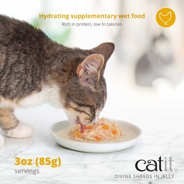 Catit 4-Pack Divine Shreds Canned Cat Food Topper with Chicken, Salmon & Pumpkin in Jelly