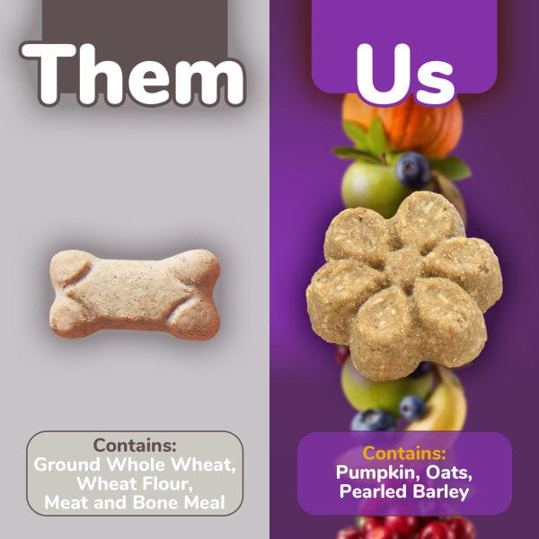 Fruitables Oven - Baked Pumpkin & Blueberry Low - Calorie Dog Treats