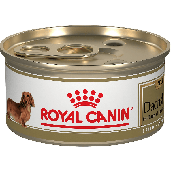 Royal Canin Canned Dog Food in Sauce for Dachshunds, 85g (3 oz) - Ideal for Purebred Dachshunds Over 10 Months