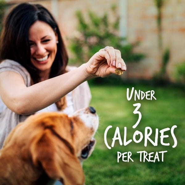 Fruitables Low - Calorie Mini Grilled Bison - Flavored Dog Training Treats