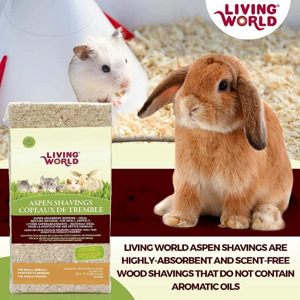 Living World High - Quality Aspen Shavings Bedding for Various Small Animals