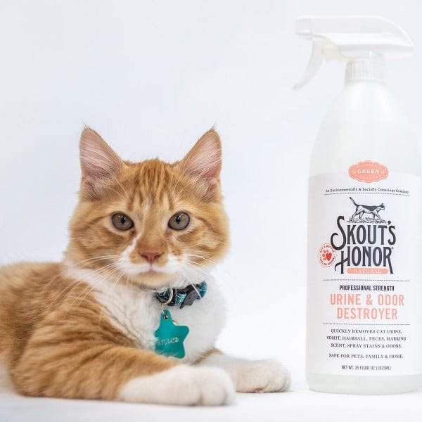 Skout's Honor Premium Cat Urine and Odor Eliminating Spray for Home Cleaning