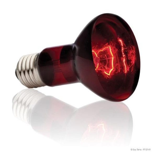 Exo Terra Infrared Basking Spot Lamp - Ideal Heating Solution for Terrariums