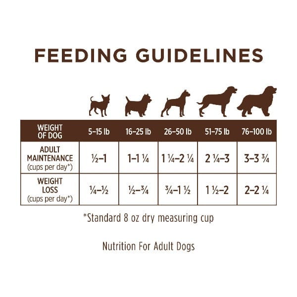 20lb Instinct Grain-Free Dry Dog Food with Real Wild-Caught Salmon for Sensitive Stomachs