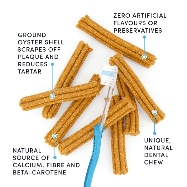 Crumps' Naturals Pumpkin Spice Flavored Dental Chews for Dogs - Plaque and Tartar Busters