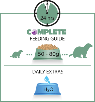 Versele-Laga All - in - One Complete Ferret Nutrition Food
