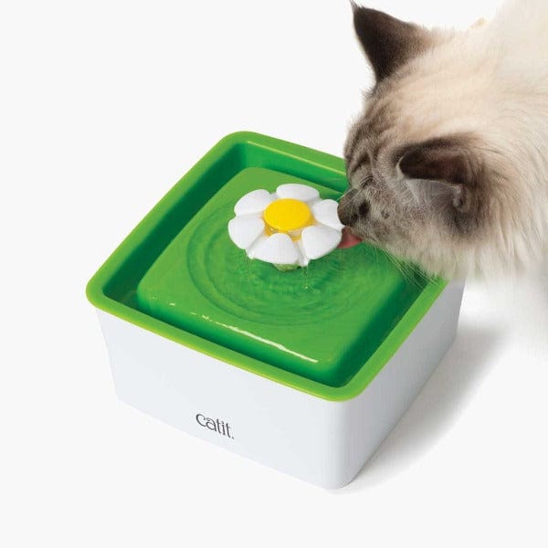 Catit Compact Mini Flower-Style Water Fountain for Cats