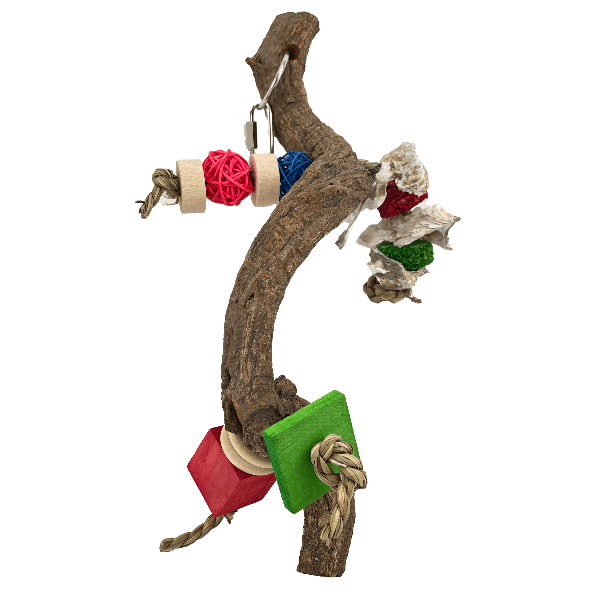 Tweeters' Unique All - in - One Enriching Bird Perch