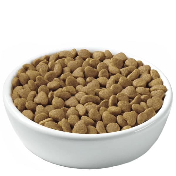 Purina Pro Plan High - Protein Adult Indoor Hairball Control Dry Cat Food with Real Turkey and Rice, 16 - pound Bag