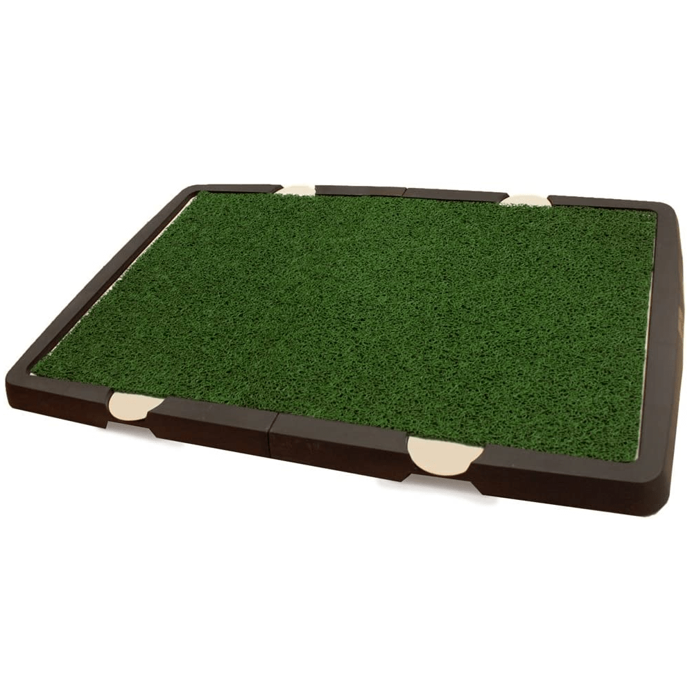 Revolutionary Spotty Indoor Dog Potty for Small to Medium Dogs