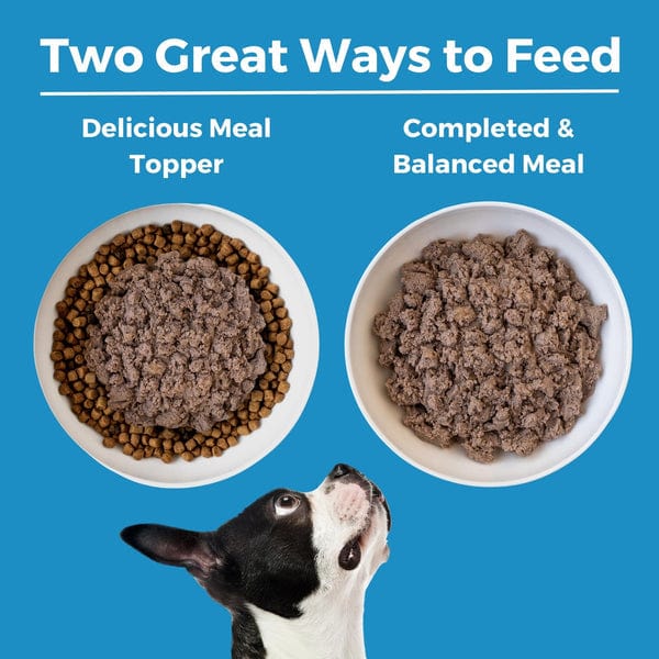 KOHA Limited Ingredient Diet Canned Lamb Entrée Dog Food for Sensitive Stomachs