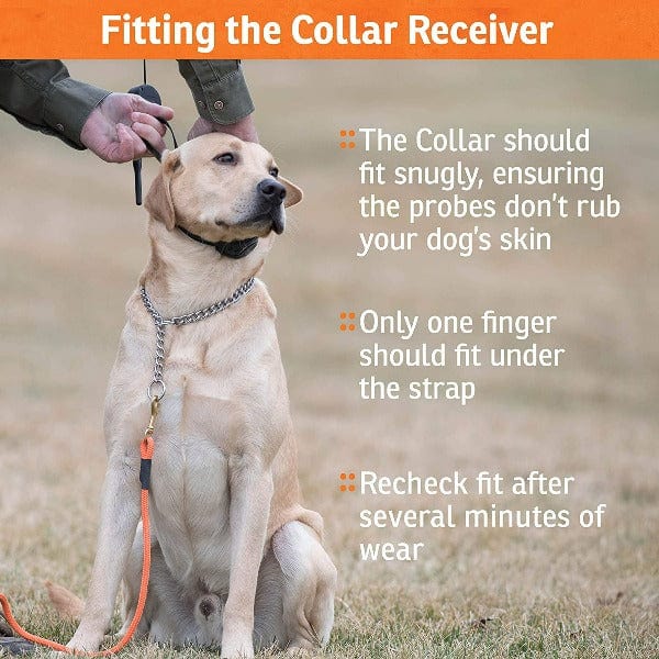 SportDOG SportHunter 1225X Long - Range Remote Trainer for Multiple Dogs
