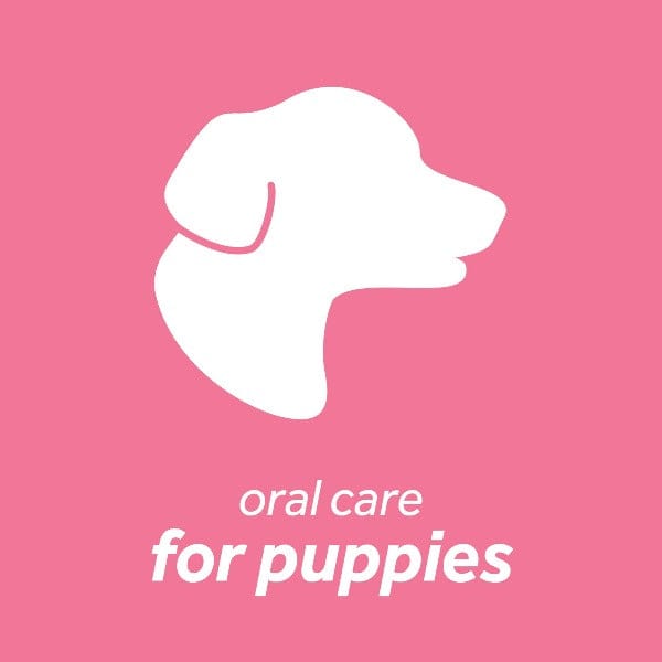 Tropiclean Oral Care Kit for Puppies - Fresh Breath Dental Hygiene Set