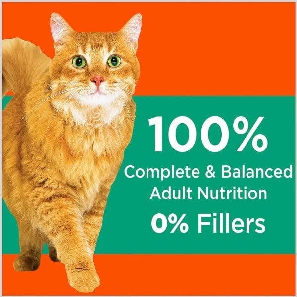 IAMS Proactive Health Adult Cat Dry Food for Hairball Care