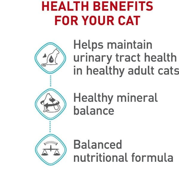 Royal Canin Dry Cat Food for Urinary Tract Health Maintenance
