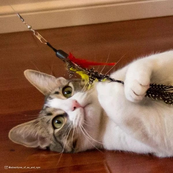Turbo Extendable Flying Feather Teaser Cat Toy for Active Play