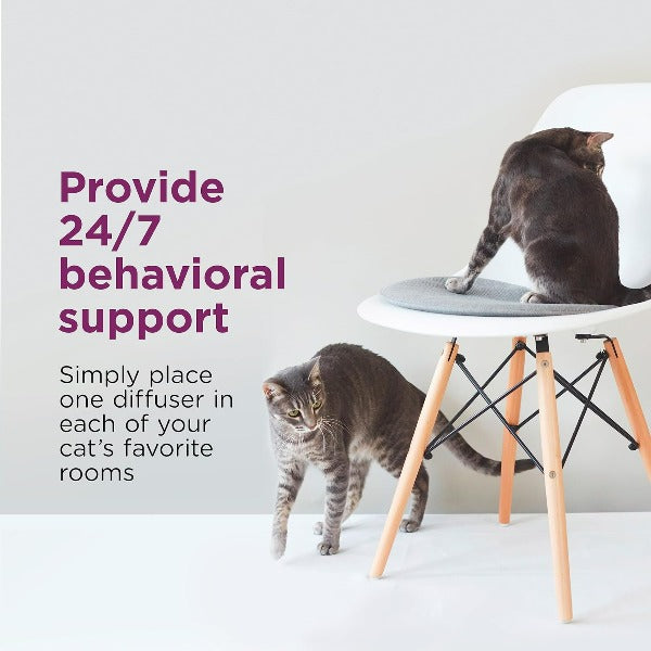 Comfort Zone Multi-Cat Pheromone Diffuser Kit for Peaceful Feline Coexistence