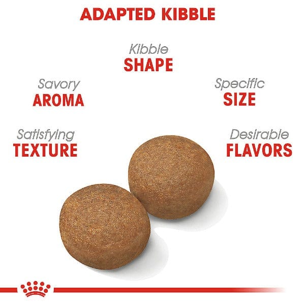Royal Canin Premium Dry Dog Food for Large Adult Canines