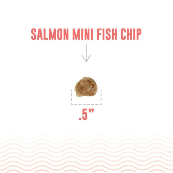 Icelandic Handmade Salmon Mini Fish Chips - Low - Calorie Dog Treats