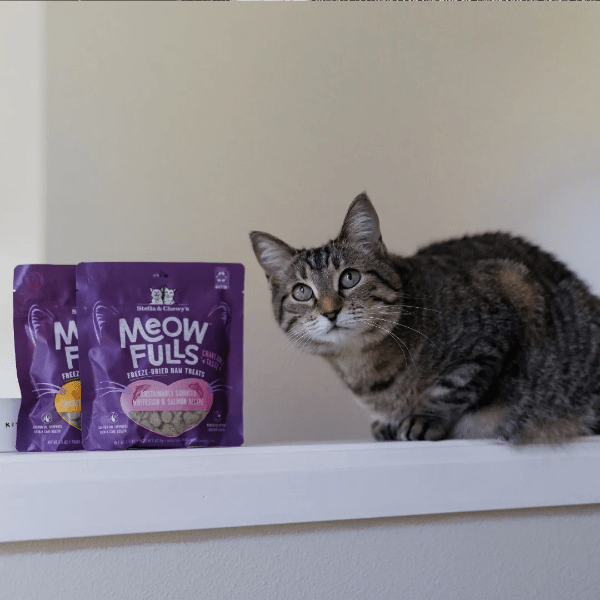 Stella & Chewy's Gourmet Meowfulls Cat Treats Made with Sustainably Sourced Whitefish and Salmon