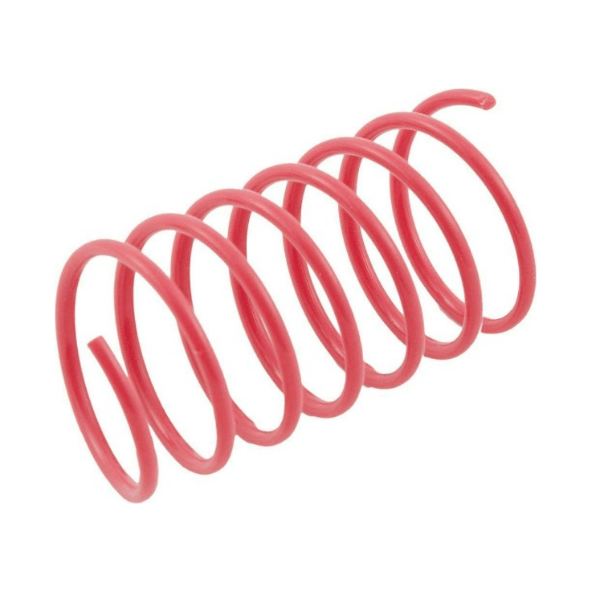 Wide Assorted Colorful Spot Springs Cat Toy Pack