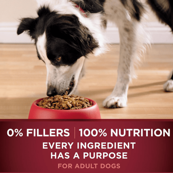 Purina ONE True Instinct Premium Dry Dog Food with a Blend of Real Turkey and Venison
