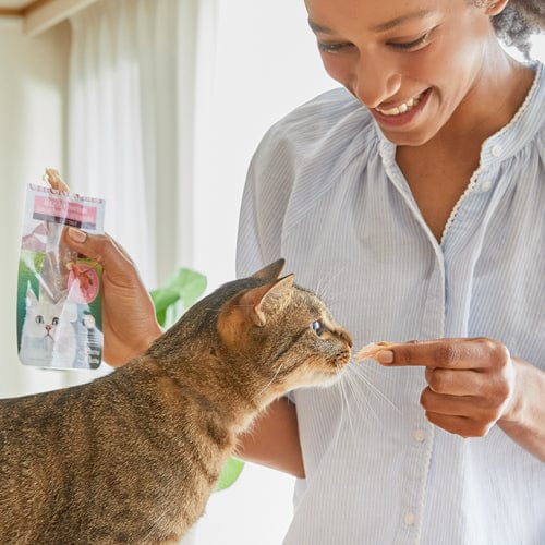 Inaba Premium Cat Treat - Grilled Chicken Fillets in Savory Chicken Flavored Broth