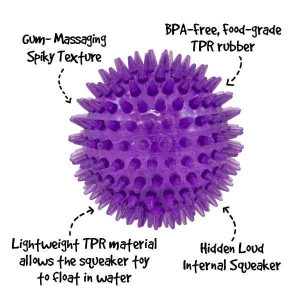 Gnawsome 3.5-Inch Medium Squeaker Ball with Spiky Texture for Dogs