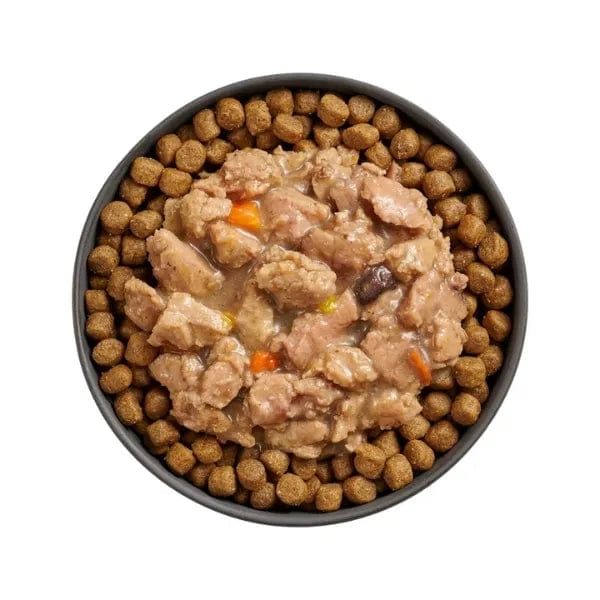 Go! Solutions Immune Booster Wet Cat Food: Minced Chicken + Salmon with Gravy