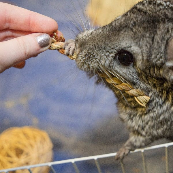 All - Natural Sundried Seagrass Twists Chew for Small Pets