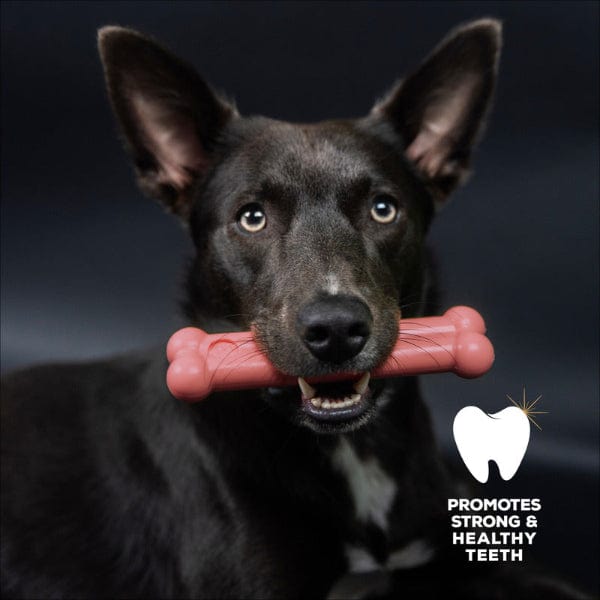 Delicious TastyBone Nylon Dog Chew Bone with Bacon Flavor
