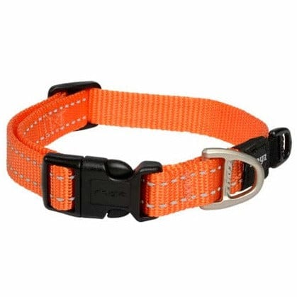Rogz Classic Utility Dog Collar for Everyday Use