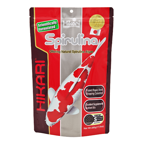 Hikari Mini Floating Pellet Koi Food with Spirulina for Color Enhancement