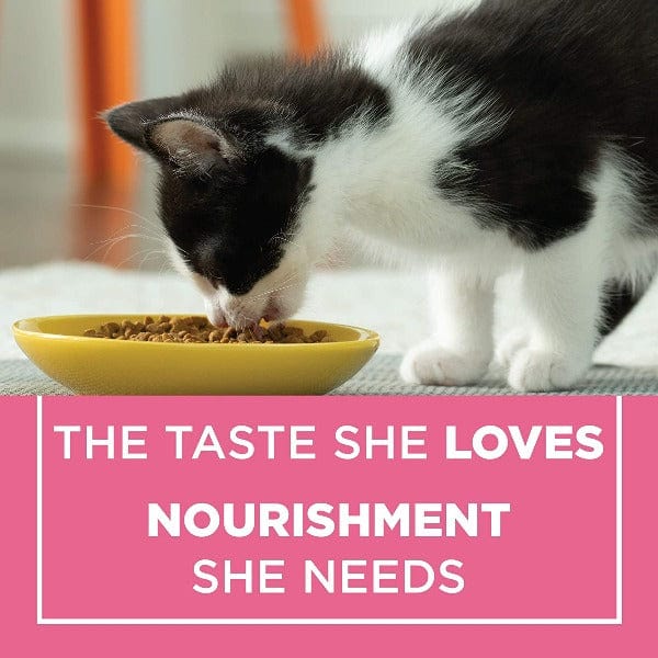 Purina Premium Dry Cat Food for Kittens, 1.8kg - Complete and Balanced Nutrition