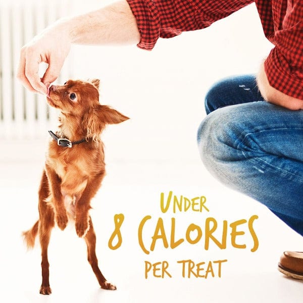 Fruitables Premium Baked Dog Treats with Pumpkin and Banana Flavors