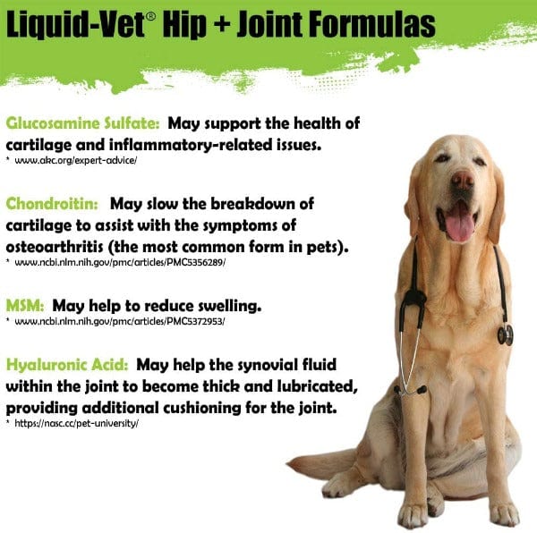 Liquid-Vet Advanced Hip and Joint Formula with Chicken Flavor for Canine Dogs - Optimal Joint Support Solution