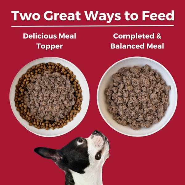 KOHA Premium Canned Beef Entrée Dog Food for Dogs with Extreme Food Sensitivities