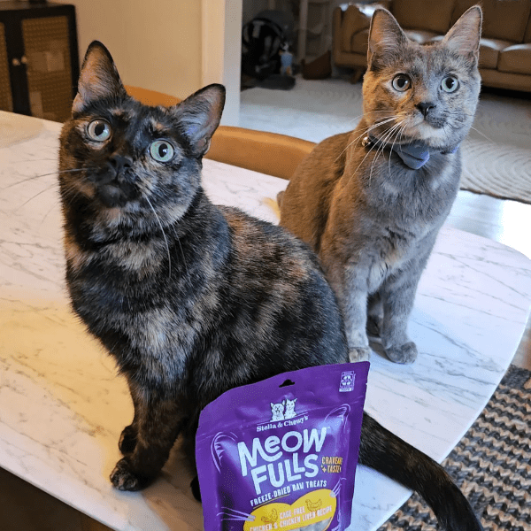 Stella & Chewy's Low - Calorie Cage - Free Chicken & Liver Cat Treats