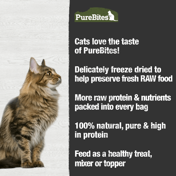 PureBites Premium Freeze - Dried American Beef Liver Treats for Cats, 44g Package