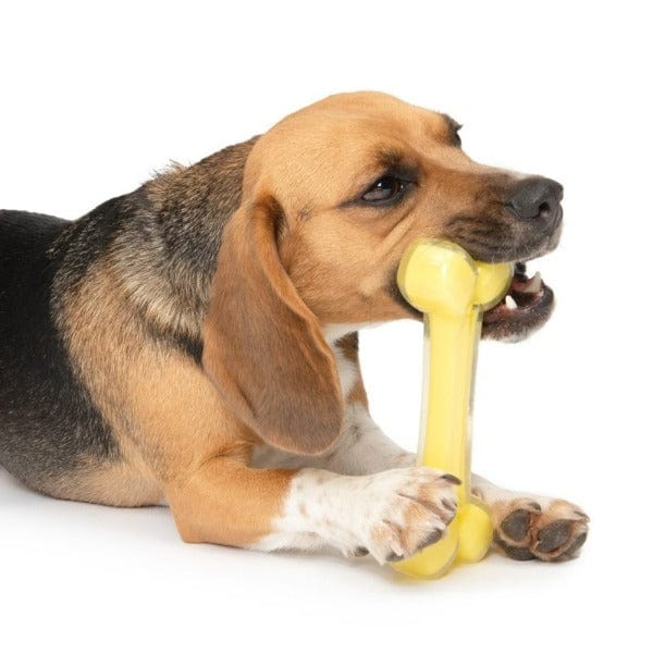 Zeus Duo Bone Dog Chew Toy with Unique Design and Long - lasting Scents