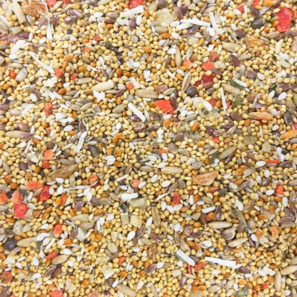 Sunburst Small-sized Gourmet Natural Bird Treats with Fruits and Veggies