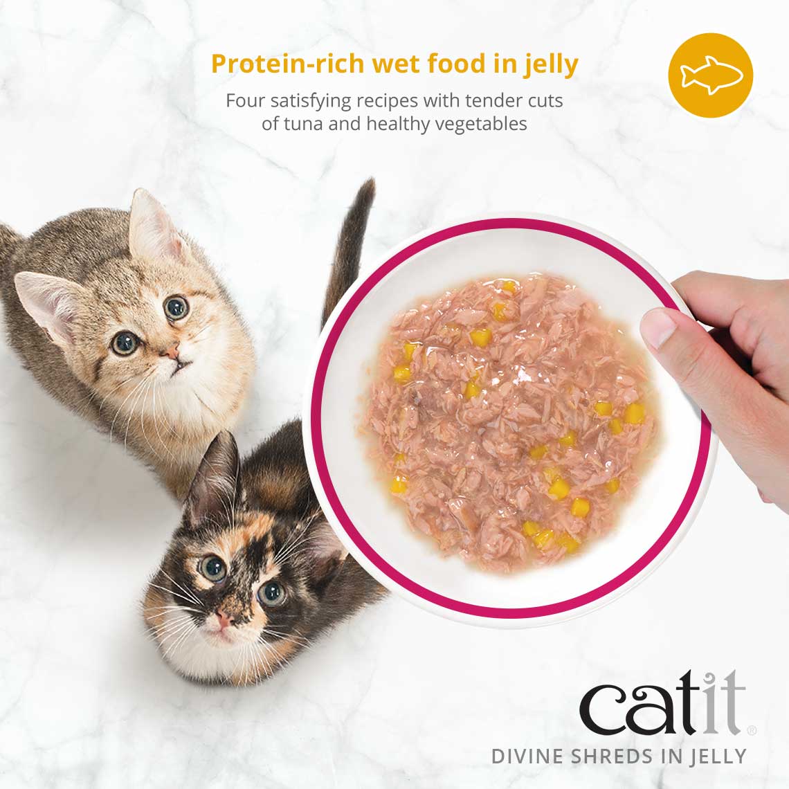 Catit 4-Pack Divine Shreds Canned Cat Food Topper: Tuna, Shrimp & Pumpkin in Jelly