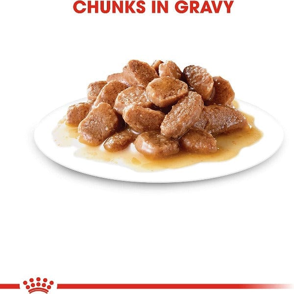 Royal Canin Adult Cat Food Pouch - Instinctive Chunks in Gravy