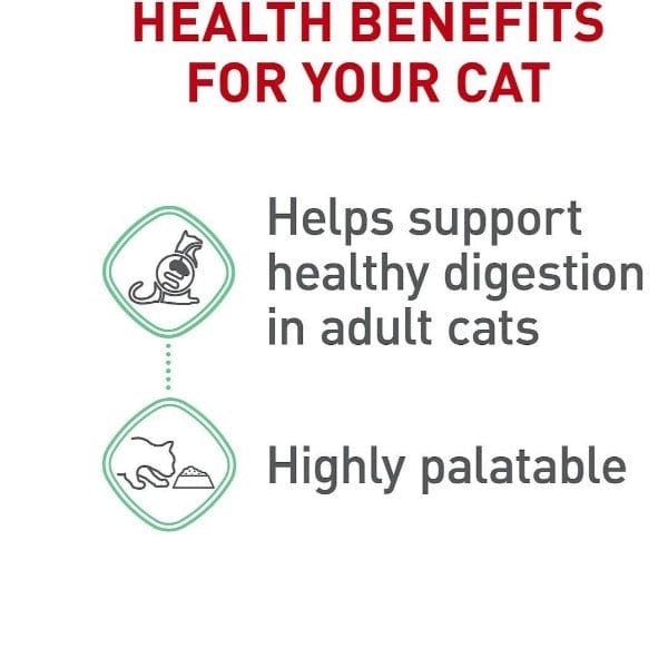 Royal Canin 85g Canned Cat Food with Digestive Care Thin Slices in Gravy